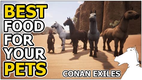 best food for pets conan exiles.